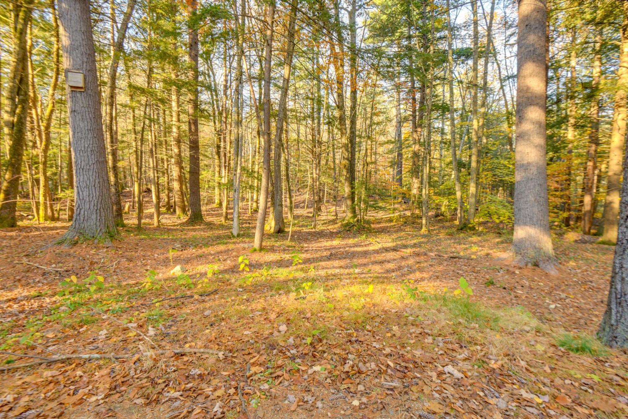 North Conway Vacation Rental Near Saco River! Buitenkant foto